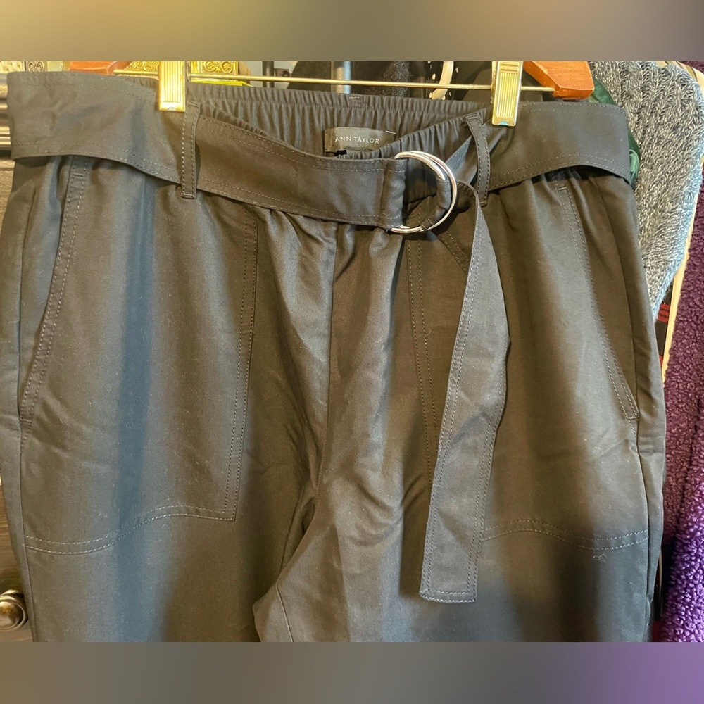 Anne Taylor belted black ankle pant size 12. Straight leg, cuffed hem, pull on. - Picture 2 of 6